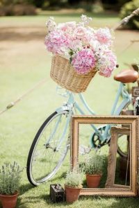 bicyclehydrangeas